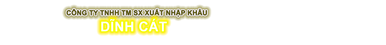 dinhcat.net